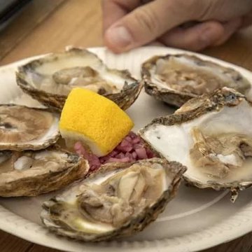 Black Water Oysters