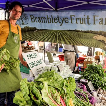 Brambleyte Fruit Farm Stein