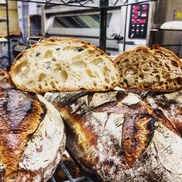 Bread Bread  Feb 2016