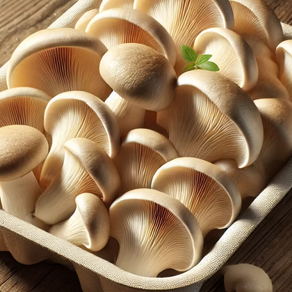 Chiltern mushrooms