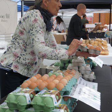 Clover Free range eggs