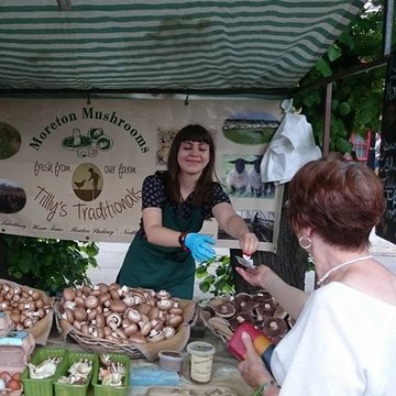 Moreton Mushrooms