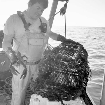 Russells Plaice