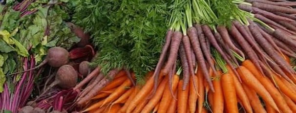 Wild Country vegetables, carrots, beetroot.jpg