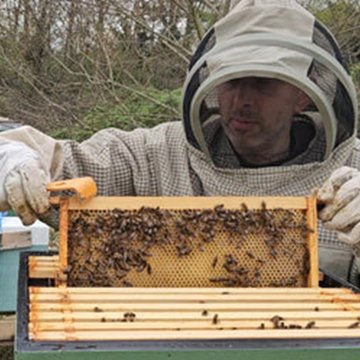 addlestone-honey-beekeeper_480x480