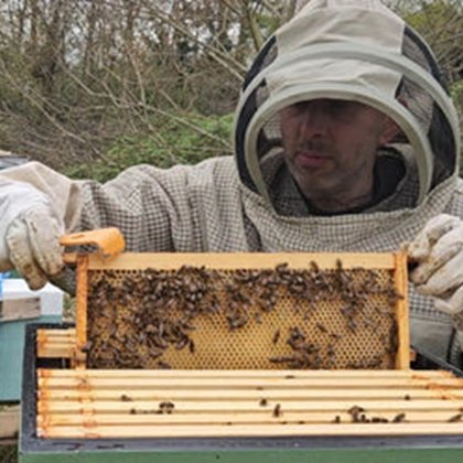 addlestone-honey-beekeeper_480x480