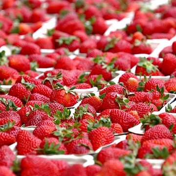 Strawberries landscape fruit soft