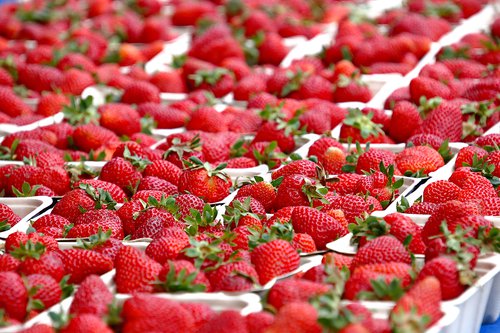 Strawberries landscape fruit soft
