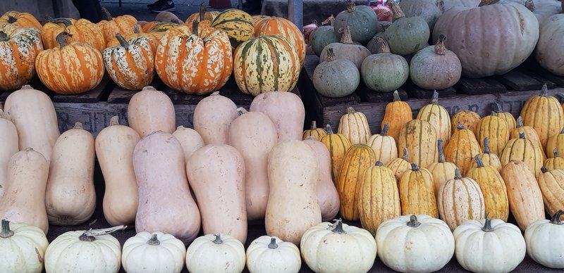 october 2